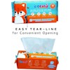 KidEasy Dry Wipes