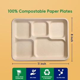JOLLY CHEF Compostable 5 Compartment Paper Plates 11 * 8 inch [100 Pack] Heavy Duty Natural Divided Disposable Plate Eco-Friendly Biodegradable Plate Food Trays for Party Dinner Lunch Buffet