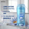 Secret Invisible Solid Antiperspirant and Deodorant, Waterlily Scent, 2.6 oz