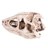 Resin Dinosaur Skull Model Simulated Animal Skeleton Home Office Decor