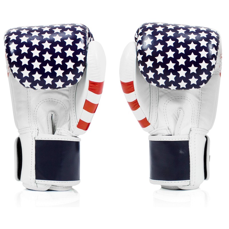 Fairtex BGV1 Muay Thai Boxing Training Sparring Gloves for Men,