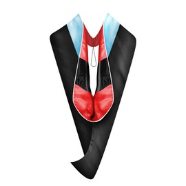 GRADWYSE Education Master Hood Graduation Master Degree Hood, Various College Colors Available Light Blue (Red/Black)