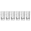 Lorenzo Rcr Crystal Laurus Highball Glass, Set of 6 ,