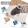 Dog Surgery Recovery Suits, Puppy After Surgery Onesie for Female