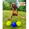 Nerf Dog Balls, Pack of 3