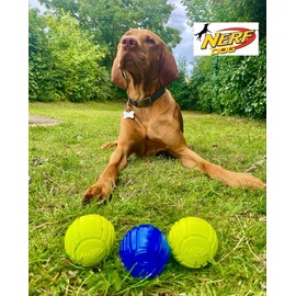 Nerf Dog Balls, Pack of 3