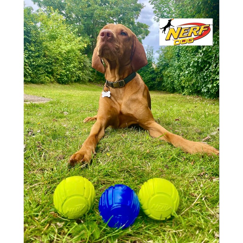 Nerf Dog Balls, Pack of 3