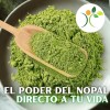 Nopal En Polvo 1kg Excelente Calidad