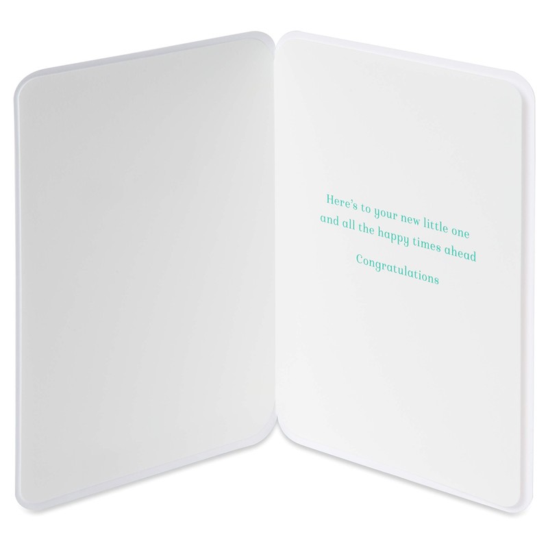 Papyrus New Baby Card (New Little One)