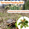 Fertrey 3 Pcs Turtle Tank Accessories, Turtle Brush with Suction