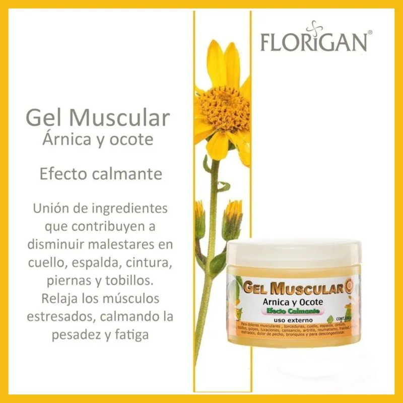 Gel Muscular Calmante Árnica & Ocote 350gr Florigan® 3 Pzas