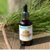 Ganesha Herbs Pine Needle Liquid Tincture Herbal Liquid Dual Extract