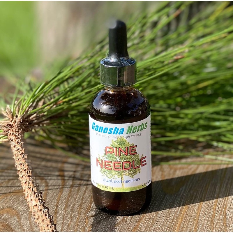 Ganesha Herbs Pine Needle Liquid Tincture Herbal Liquid Dual Extract