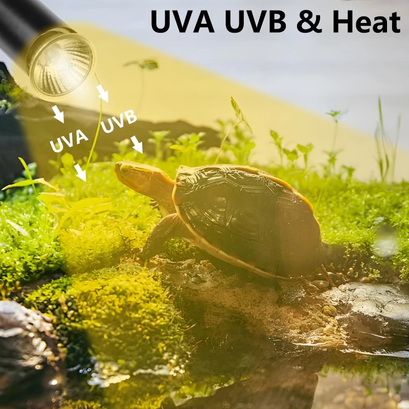 Repti Home Turtle Basking Light (Cycle Timer), Tortoise Lamp UVA
