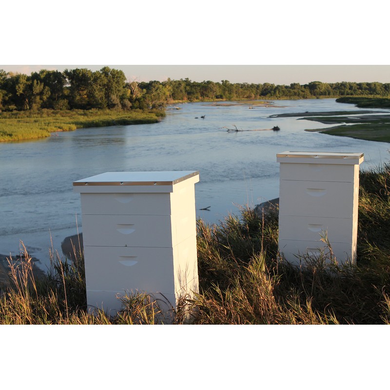 Raw Honey Pure Natural Nebraska Honey One 5lb Jug