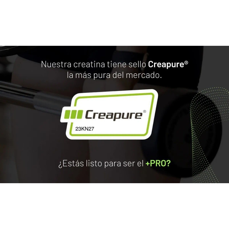 Althypro Creatina Monohidratada Sello Creapure® 500g 100 Ser