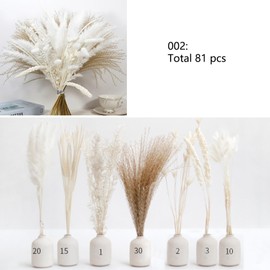 EAZHOP-100% Natural Dried Pampas Grass Bouquet Home Decor, White and Brown Pampas Grassland & Reed Grass & Bunny Tail Grass and Eucalyptus, Wedding Bohemian Flower Home Table Decoration (2)
