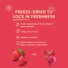 Tru Fru Freeze Dried Fruit Variety Pack - Chocolate Covered