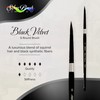 Silver Brush Limited 3000S6 Black Velvet Round Brush for Watercolour,