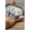 Vivid Arts Baby Hedgehog in Leaf Highly Detailed Home or