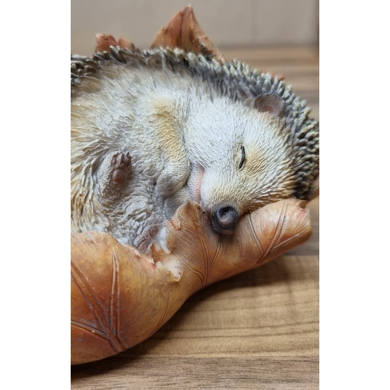 Vivid Arts Baby Hedgehog in Leaf Highly Detailed Home or