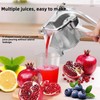 Lemon Squeezer Citrus Juicer Hand Press Heavy Duty Fruit Juicer