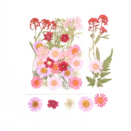 Caiyjhao 35PCS Resin Pressed Flowers with Tweezers for DIY Various Natural Bulk Dried Flowers and Dried Leaves Flower Crafts, Epoxy Ornaments, Candles, Soap Making, Nail Decoration Gifts(Little Girls)