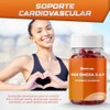 Biox Omega Synergic Formula 180 Cápsulas Pack Suplemento Epa Dha