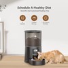 PETULTRA Automatic Cat Feeder: 4L Timed Cats Food Dispenser Programmable