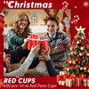 Dualshine 100 Pack Red Plastic Cups 16 oz, Disposable Cups