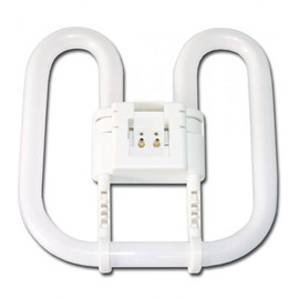 2D Square 2-Pin 240V 28W 4,000K