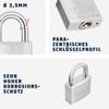ABUS Titalium 64TI/20 padlock - set of 2, keyed alike
