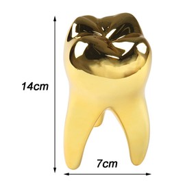 Dental Decorations for Office Tooth Model Gift for Display Decoration Clinic Desktops Dental Student Gift, Golden