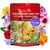 NatureZ Edge Wildflower Seeds Mix – 2 Oz, 85,000 Seeds,