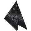 Bandana Black