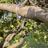 Songbird Essentials Hanging Cable Tree Limb Protector with S Hook,