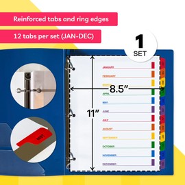Monthly Dividers for 3 Ring Binder - (Set of 1), 8.5 x 11 Letter Size, Writable A-Z Tabs - Ideal for Organizing Paper at Work, School, or Home