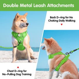 PoyPet Dog Harness and Leash Combo, Escape Proof No Pull Vest Harness, with 5 Feet Leash, Reflective Adjustable Soft Padded Pet Harness with Handle for Small to Large Dogs(Blue,XL)