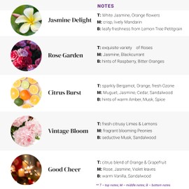 Natscent Fragrance Oil Set, Bright & Happy Fragrance Oils for Diffusers for Home, Hotel Collection Diffuser Oil Set: Jasmine Delight, Rose Garden, Citrus Burst, Vintage Bloom, Good Cheer 5 x 0.33oz