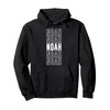 Noah Pullover Hoodie