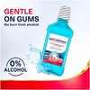 Parodontax Active Gum Health Mouthwash, Antiplaque and Antigingivitis Mouthwash, Mint,