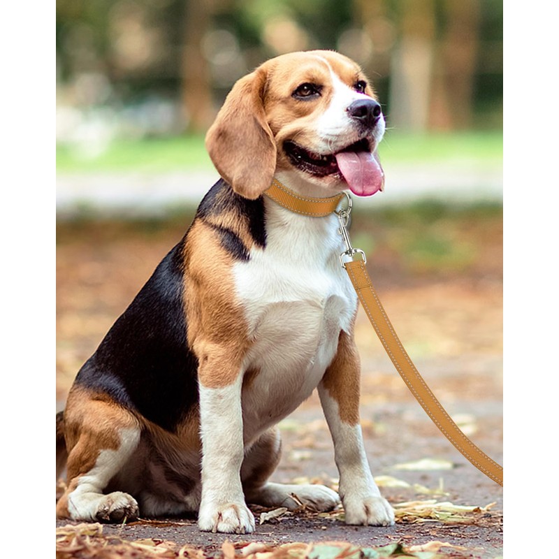 Taglory Dog Leads for Medium Large Dogs | Double Sided