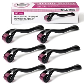 6PCS Rodillo Facial,0.25MM/0.5MM/0.75MM/1MM/1.5MM/2MM,Facial Para Herramientas Rodillo Para Rostro Herramientas, Adecuado para Masajes Facialesy Capilares (6PCS)