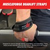 MuscleForge® Deadlift Straps for Strength Training, Weightlifting and Powerlifting -