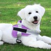 Bolux Dog Harness, No-Pull Reflective Dog Vest, Breathable Adjustable Pet