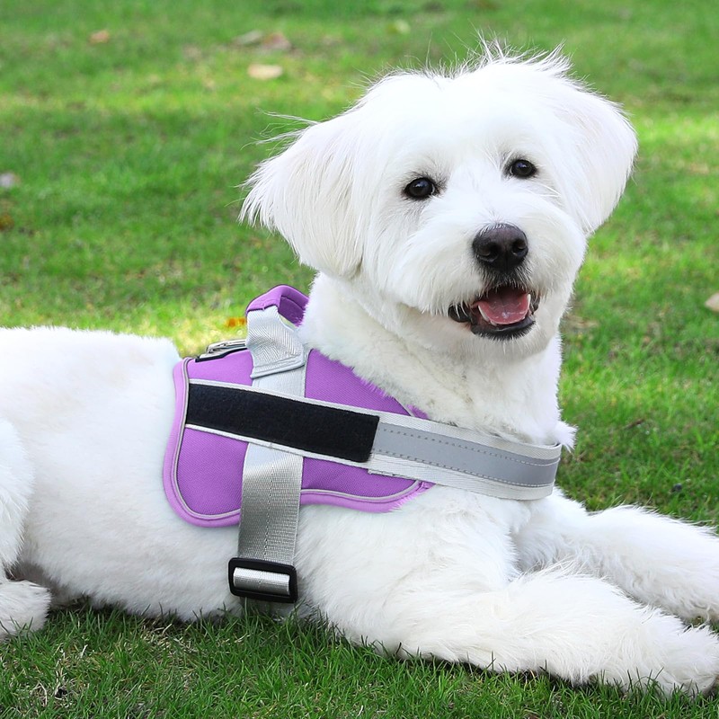Bolux Dog Harness, No-Pull Reflective Dog Vest, Breathable Adjustable Pet