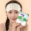 Today (무향)오늘하루 온열안대 스팀 아이마스크 눈찜질팩 [100매] (Unscented) Today’s Heat-Release