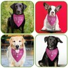 I'm Not Ignoring You I'm Deaf Dog Bandana for Large