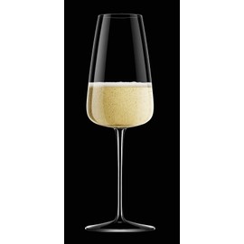 Luigi Bormioli Talismano 13.25 oz. Champagne/Prosecco Wine Stem, Set of4