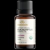Swanson Aromatherapy Certified Organic Eucalyptus Essential Oil 0.5 fl oz
